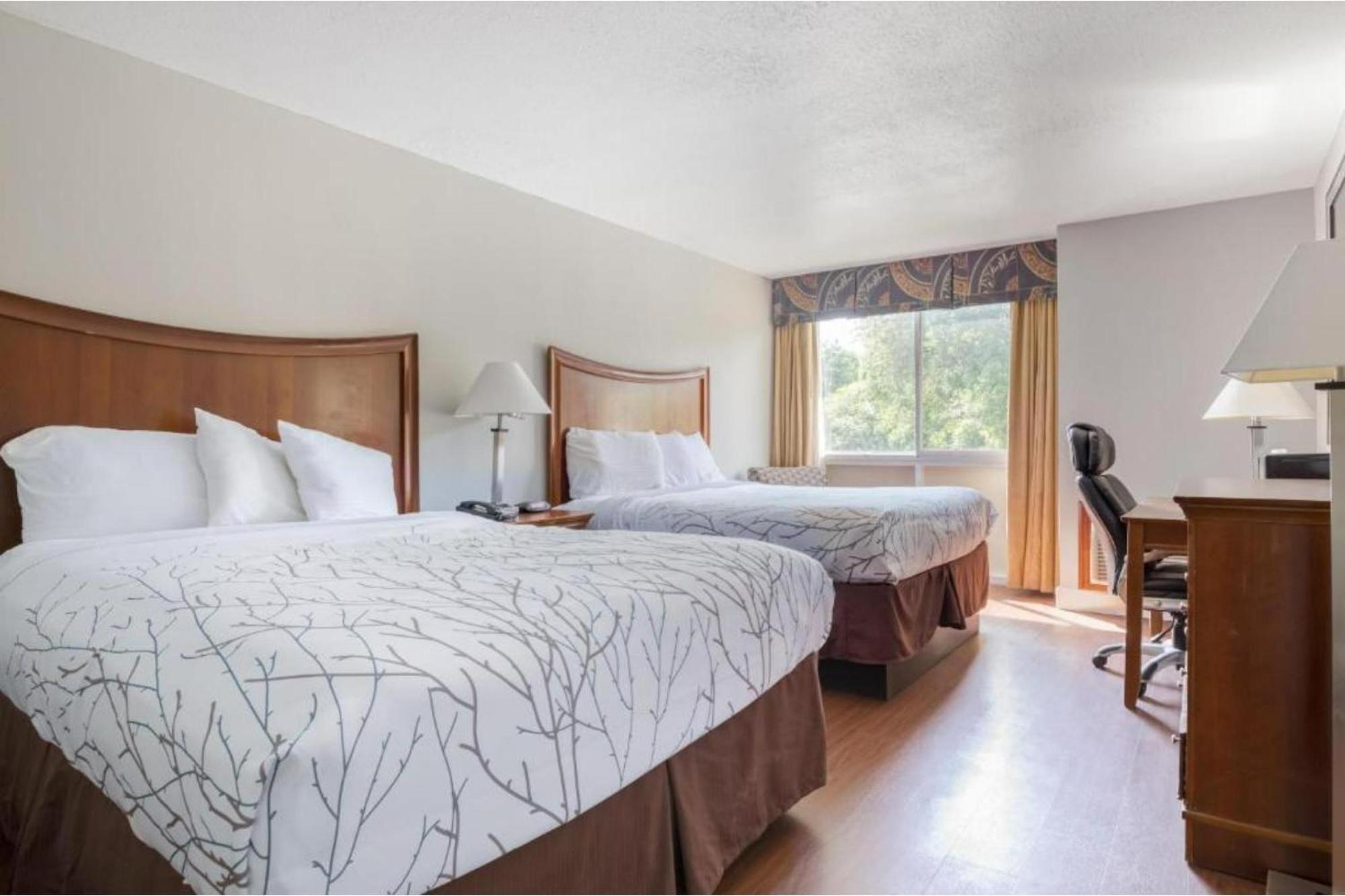 2 Queen Beds | Non-Smoking