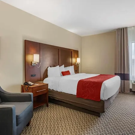 Comfort Suites Cordova-2