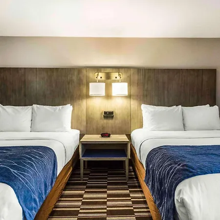 Comfort Inn Memphis Airport West-3