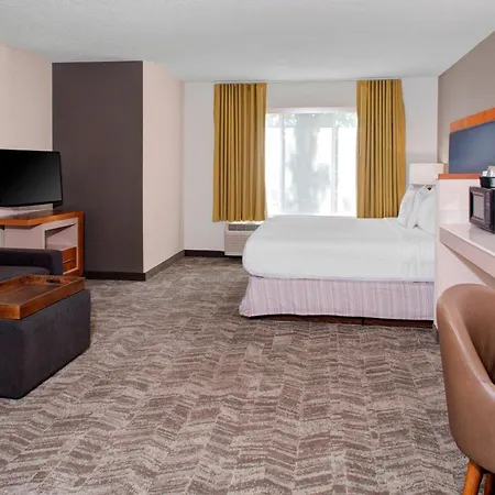 Springhill Suites By Marriott Memphis East Galleria-2